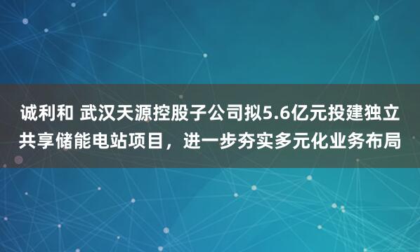 诚利和 武汉天源控股子公司拟5.6亿元投建独立共享储能电站项目,进一步夯实多元化业务布局