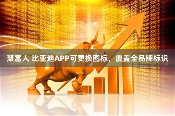 聚富人 比亚迪APP可更换图标，覆盖全品牌标识